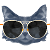 Casual Kitten