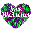 Love Blossoms