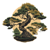 Shapely Bonsai Tree