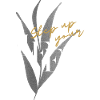 Step Up Your Life