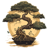 Mature Bonsai Tree