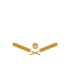Cricket player sport