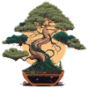 Bonsai Wunder