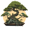 Moonlit Bonsai Tree