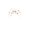 Tarantula Pet Arachnid