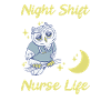 Emergency Nurse