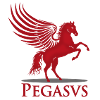 PEGASUS 2023
