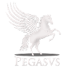 PEGASUS blanc