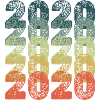Year 2020