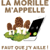 Morille Champignon cadeau Drôle