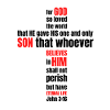 John 3:16