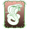 Cobra snake, poison tooth