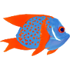 fish orange/blue