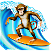 Surfer Affe