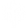 Kickboxing Kickboxing Hommes