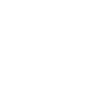 Roller coaster