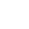 Roller coaster