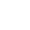 Roller coaster