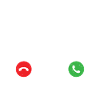 Roller coaster