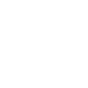 Roller coaster