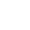 Roller coaster