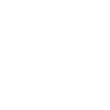Roller coaster