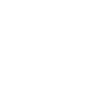 Roller coaster