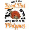 Schnabeltier Platypus