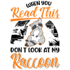 Raccoon Gift Raccoon