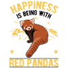 Red Panda Lucky Cat Bear