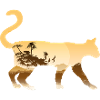 Serval cat