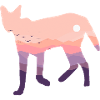 Serval cat