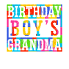 Birthday Kids Grandma Building Blocks