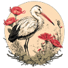 Cigogne blanche