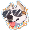 Hund mit Sonnenbrille