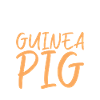 Cadeau de cochon d’Inde mignon