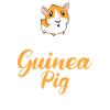 Cadeau de cochon d’Inde mignon