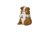 Cute Guinea Pig Gift