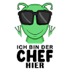 Cool Außerirdischer Chef Spruch Sonnenbrille