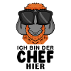Cool Affe Chef Spruch Sonnenbrille