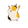 Cute Guinea Pig Gift