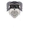 cooler Hund Schnauzer Chef Spruch