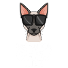coole Katze - Siamkatze Spruch