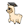 Master Degree Alpaca