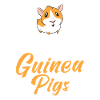 Cute Guinea Pig Gift
