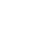 Cocker Spaniel