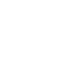 Cairn Terrier « Édition Noire »