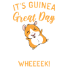 Cute Guinea Pig Gift