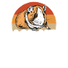 Süßes Meerschweinchen Geschenk