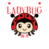 Ladybug Ladybug Entomology Insects